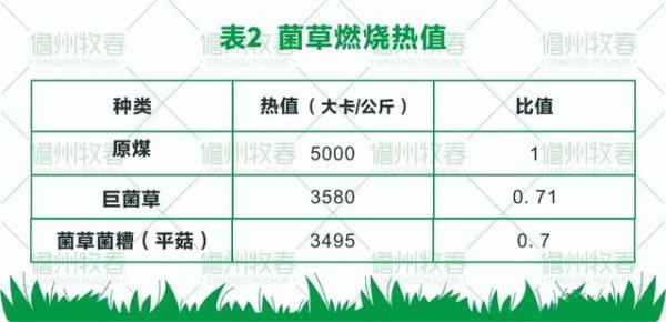 菌草变燃料 打造环保生物质发电新模式