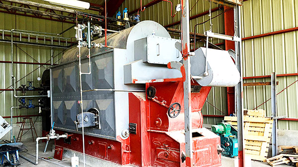 25吨燃煤蒸汽锅炉