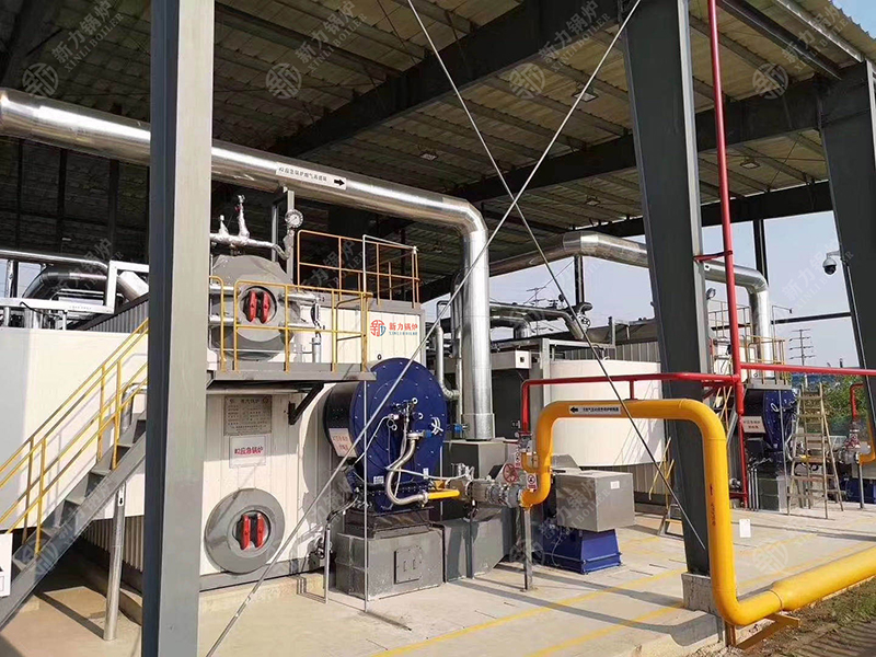 20蒸吨SZS 燃气蒸汽锅炉用于淀粉厂