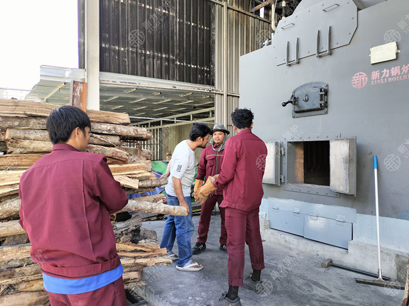绿色能源助力！亿万先生MR官网生物质锅炉DZH4在柬埔寨食品厂点火试运行成功！