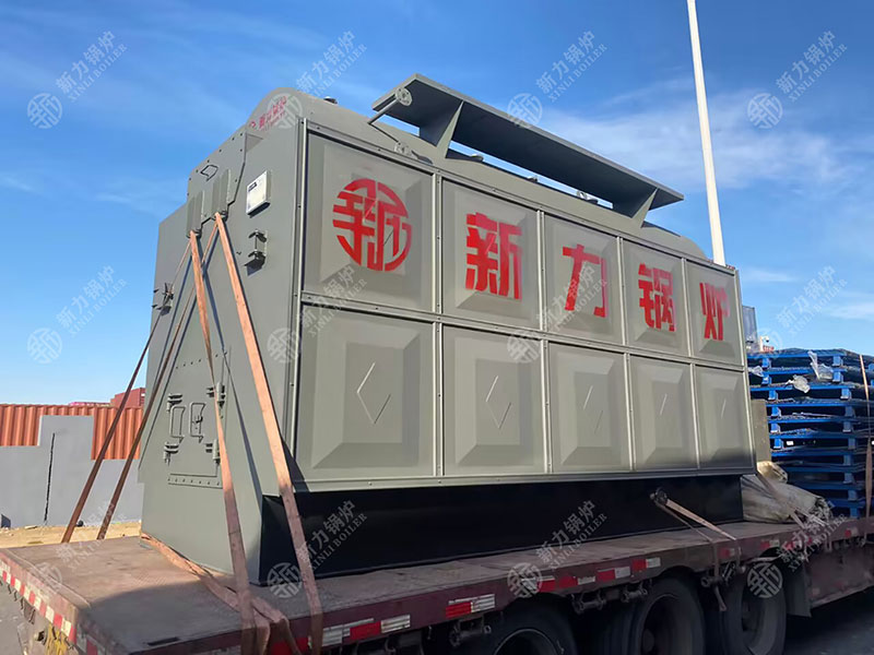 1709187196446825 DZH生物质热水锅炉