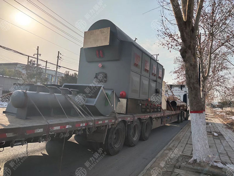 DZL生物质热水锅炉