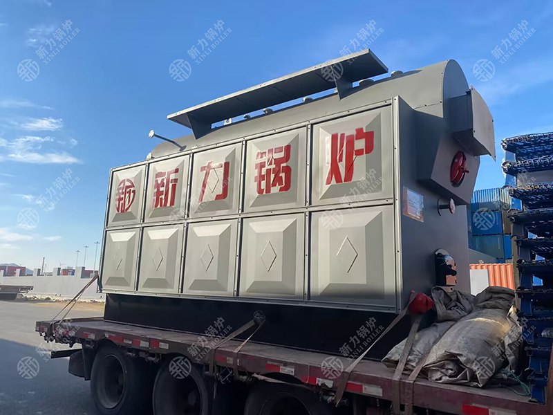 dzh生物质热水锅炉